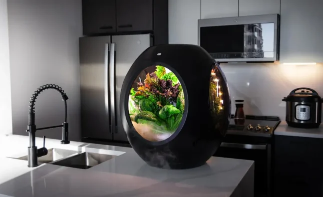 Top 10 Smart Gadgets You Need for Your Home in 2025