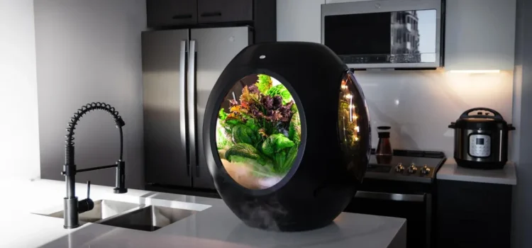 Top 10 Smart Gadgets You Need for Your Home in 2025