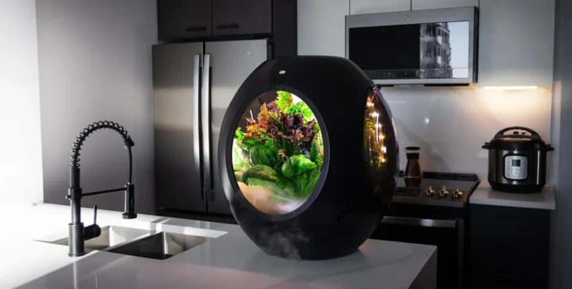 Top 10 Smart Gadgets You Need for Your Home in 2025